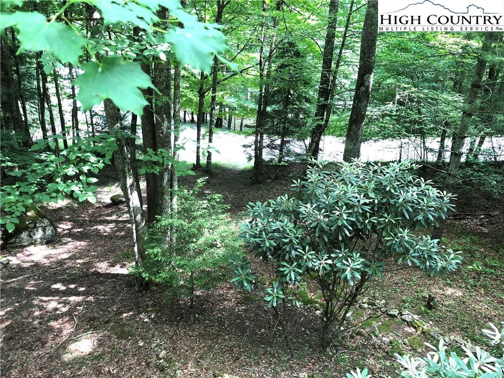 Image number 6 for the current listing