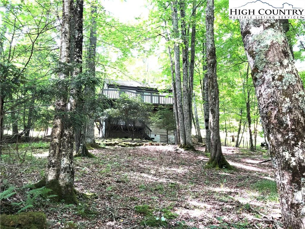 Image number 4 for the current listing