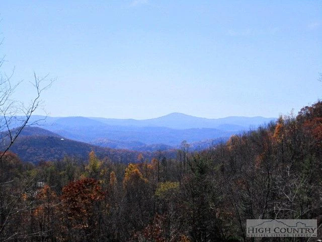 Image number 13 for the current listing