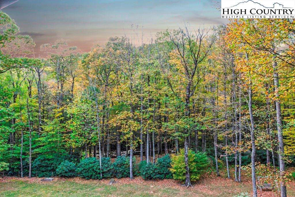 Image number 16 for the current listing