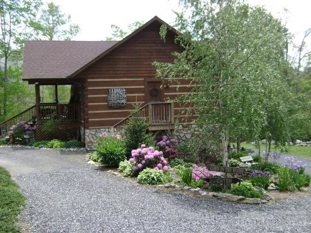Image number 14 for the current listing
