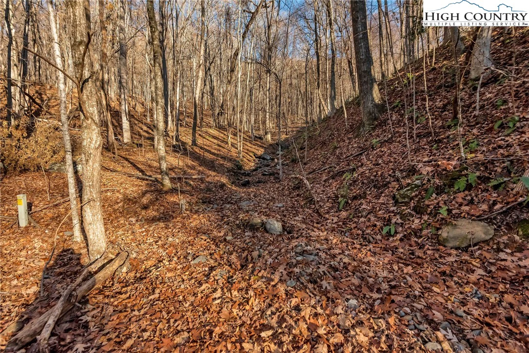 Image number 5 for the current listing