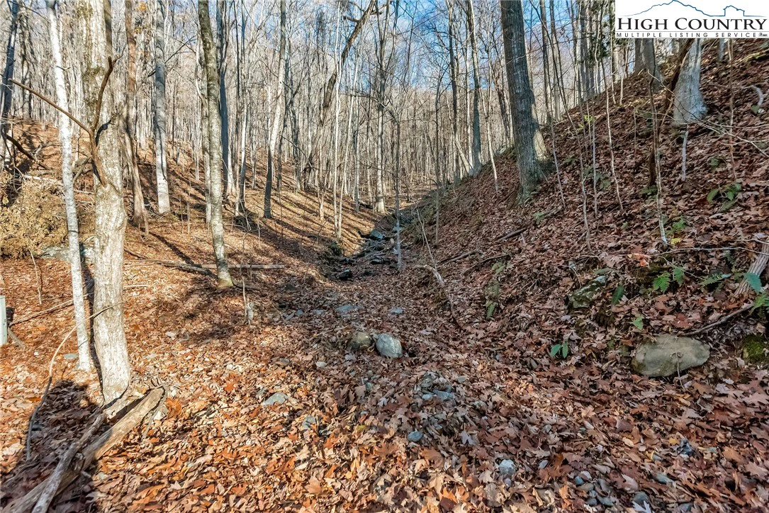 Image number 6 for the current listing