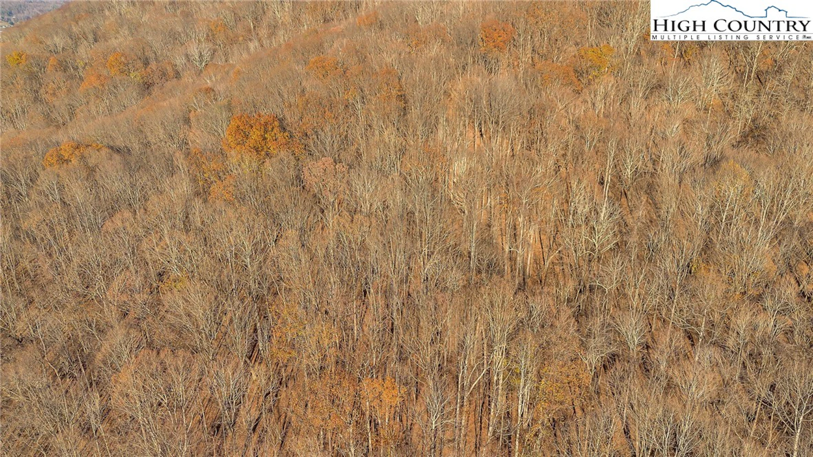 Image number 7 for the current listing