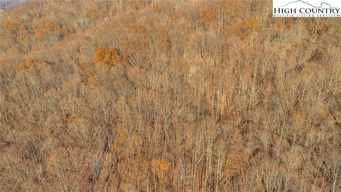 Image number 7 for the current listing
