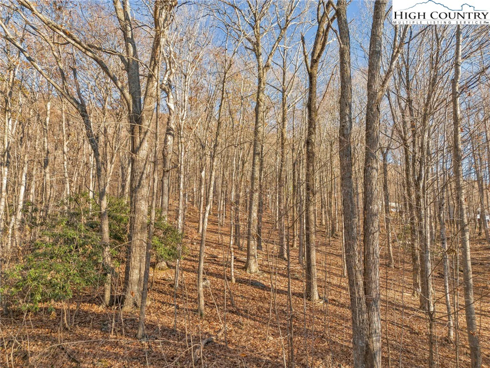 Image number 13 for the current listing