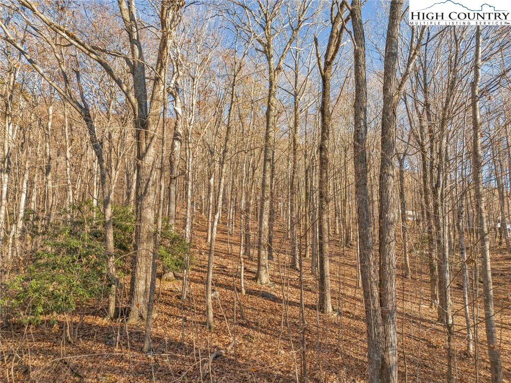 Image number 13 for the current listing