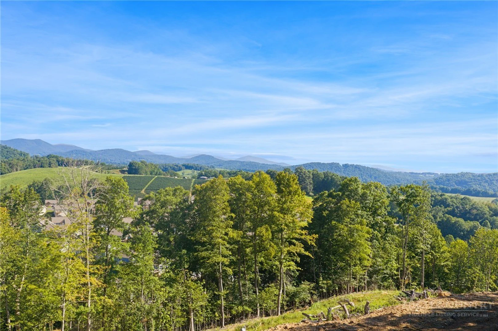 Image number 1 for the current listing