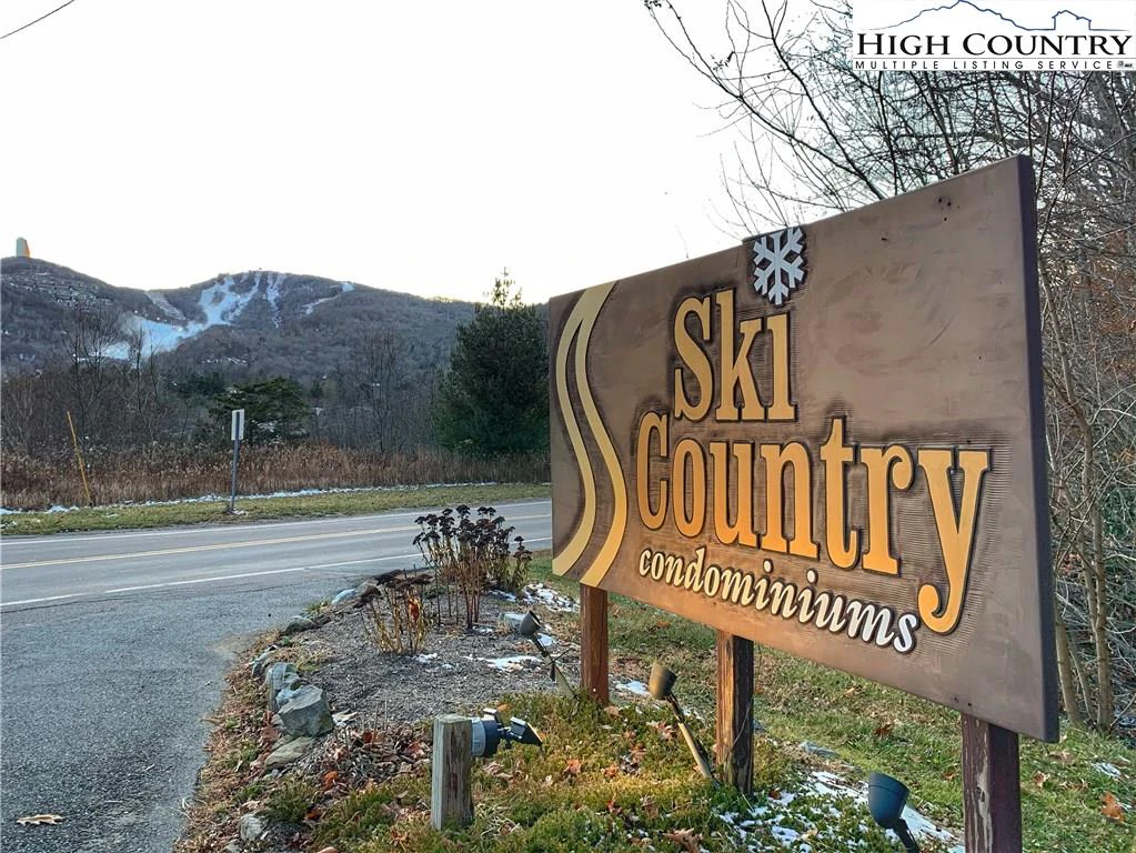 Image number 1 for the current listing