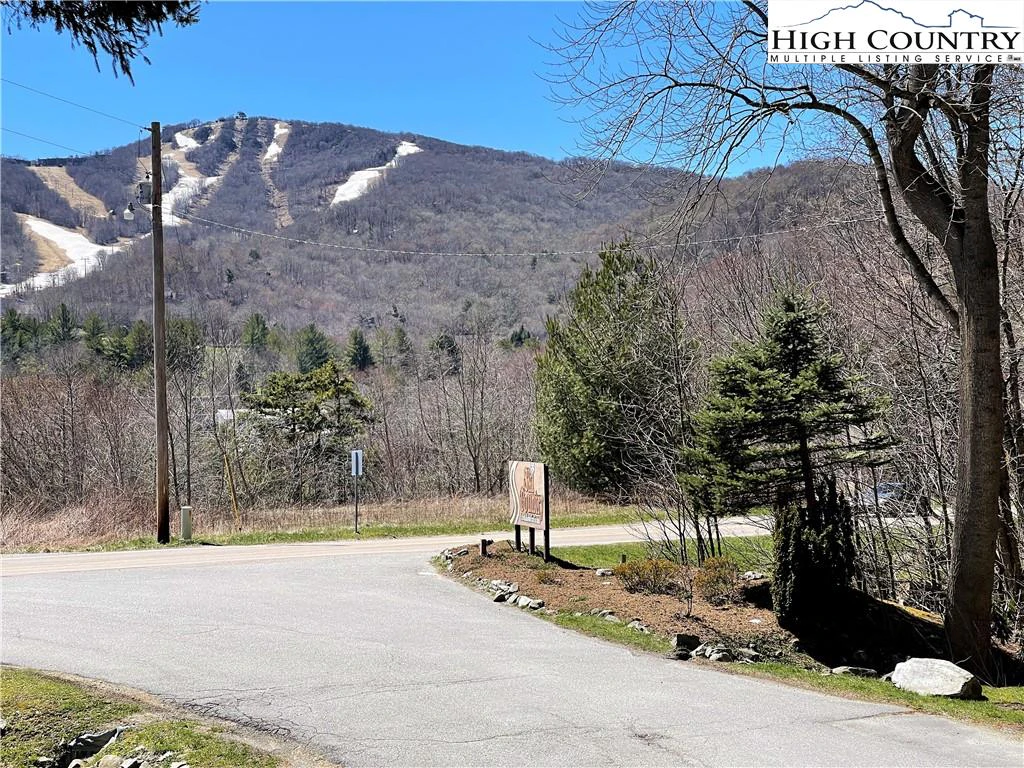 Image number 1 for the current listing