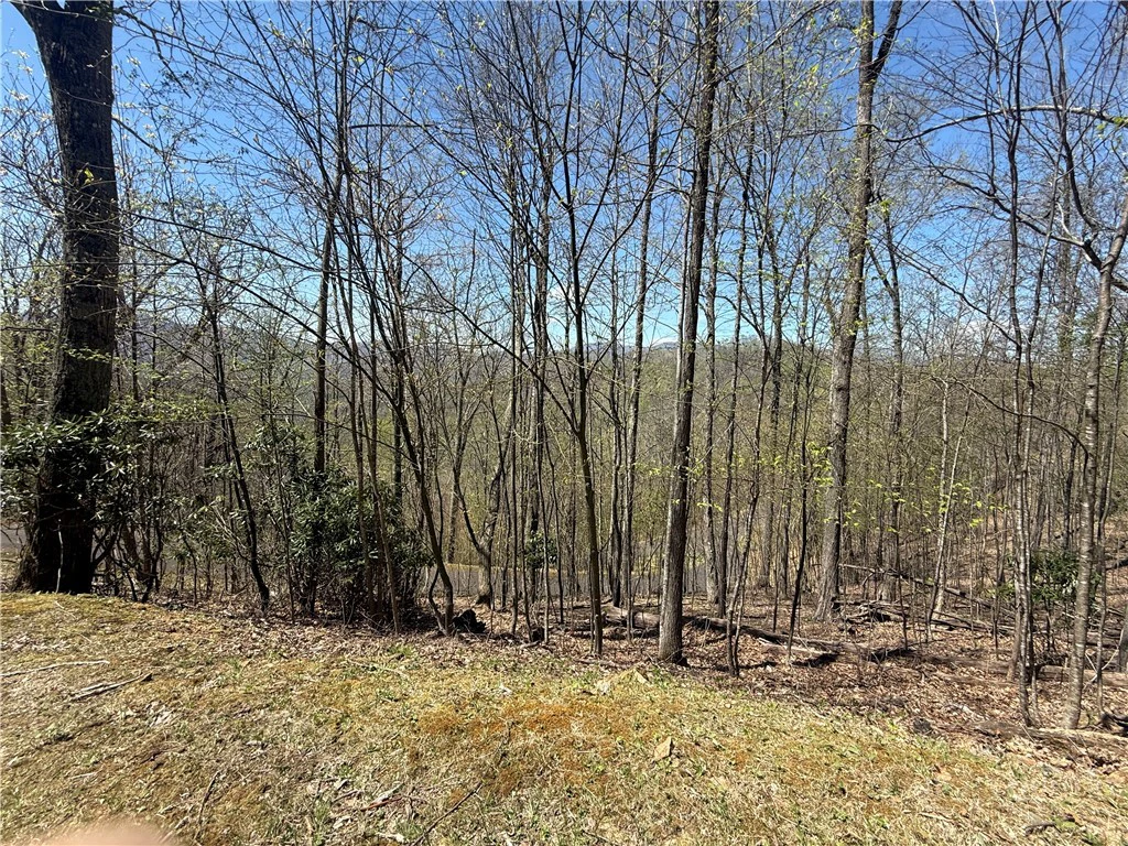 Image number 2 for the current listing