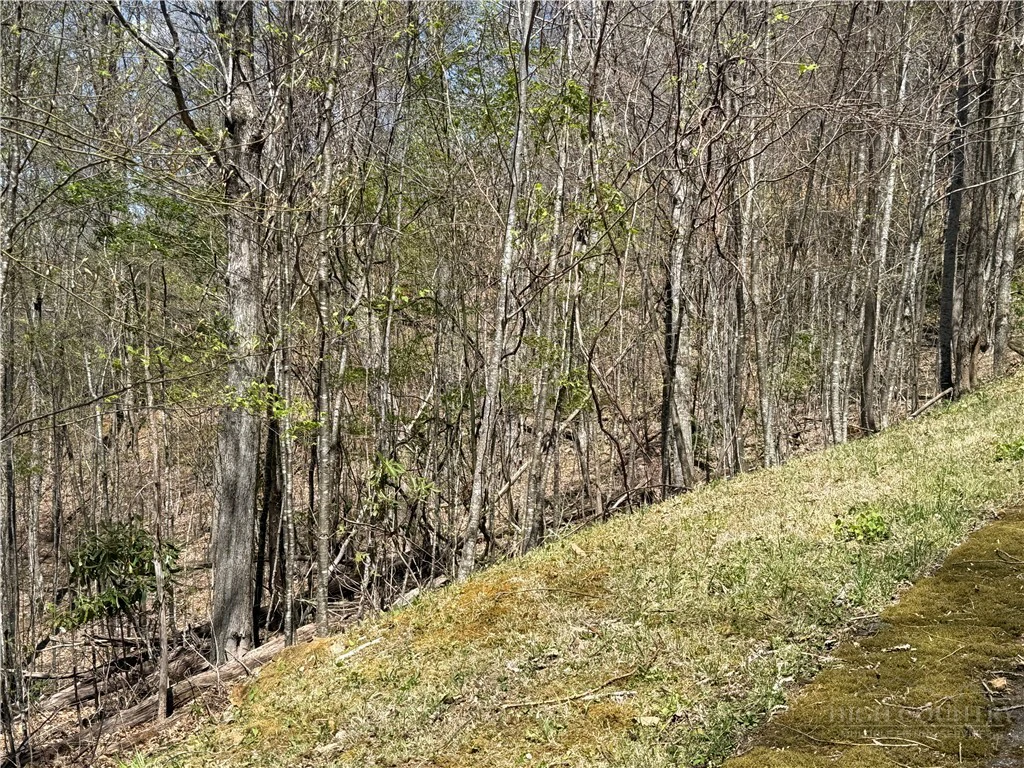 Image number 5 for the current listing