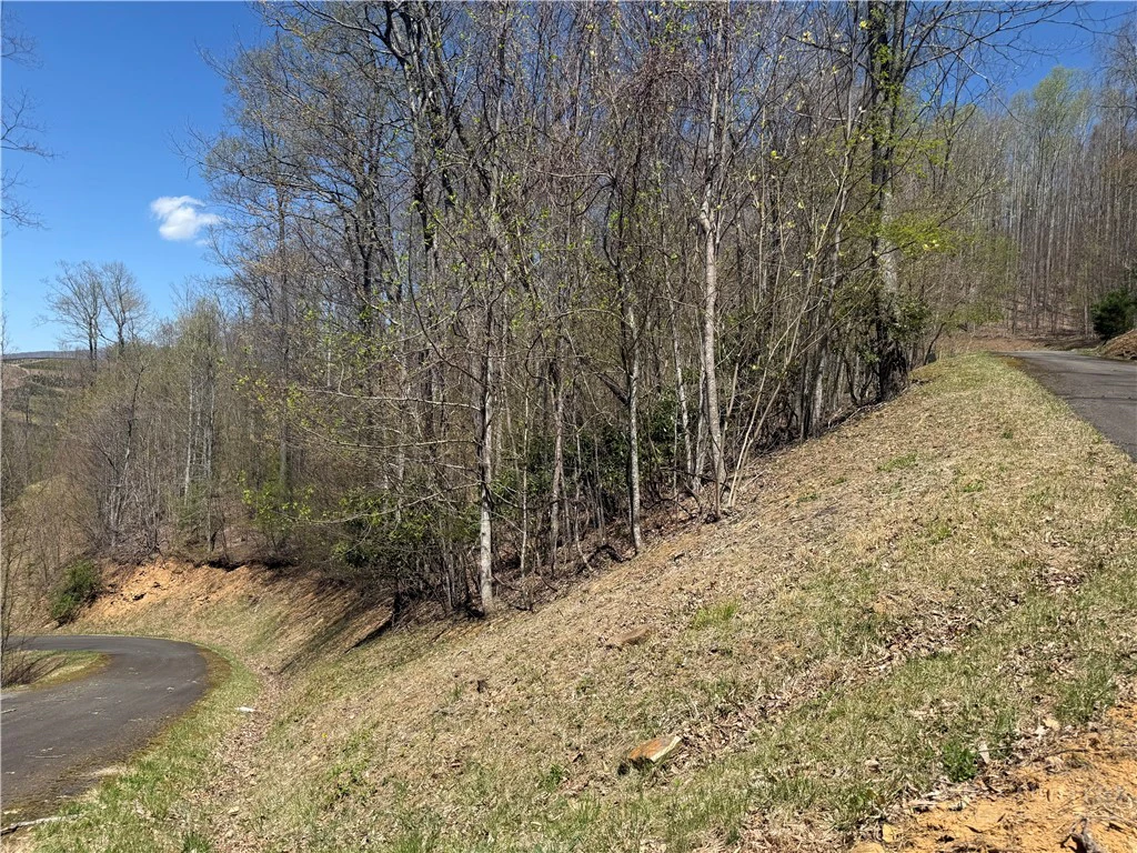 Image number 11 for the current listing