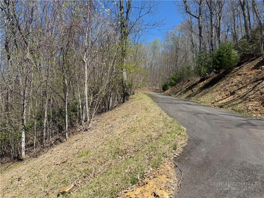 Image number 12 for the current listing