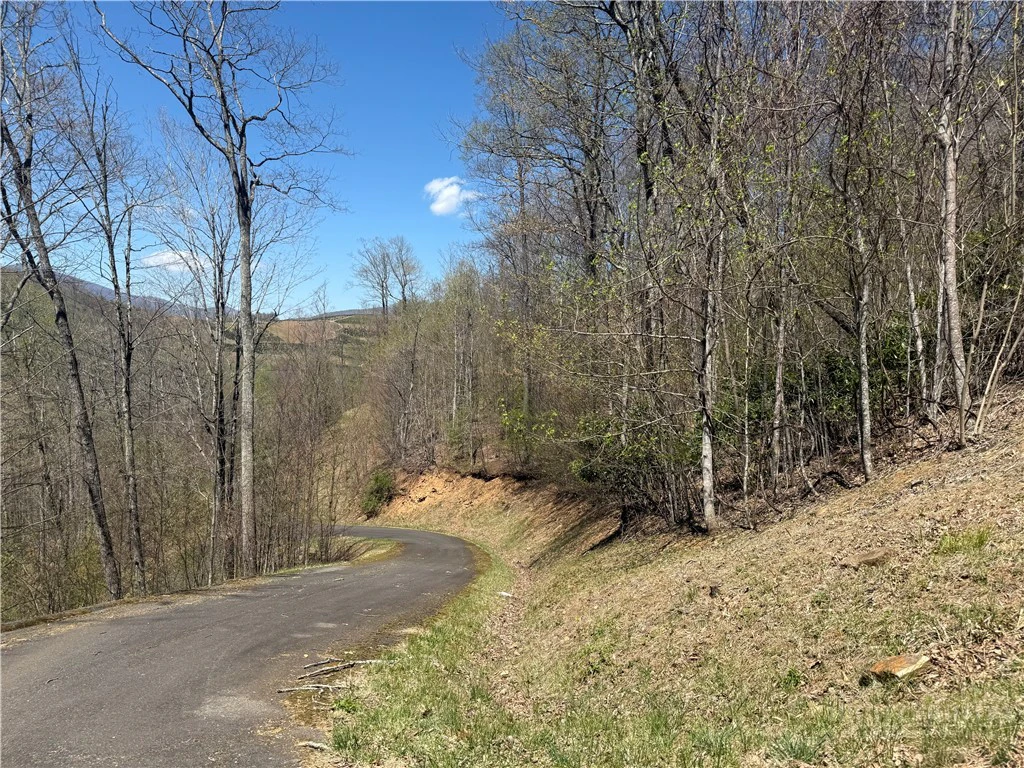 Image number 13 for the current listing