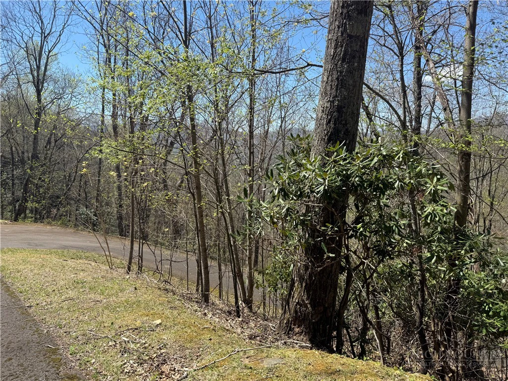 Image number 14 for the current listing