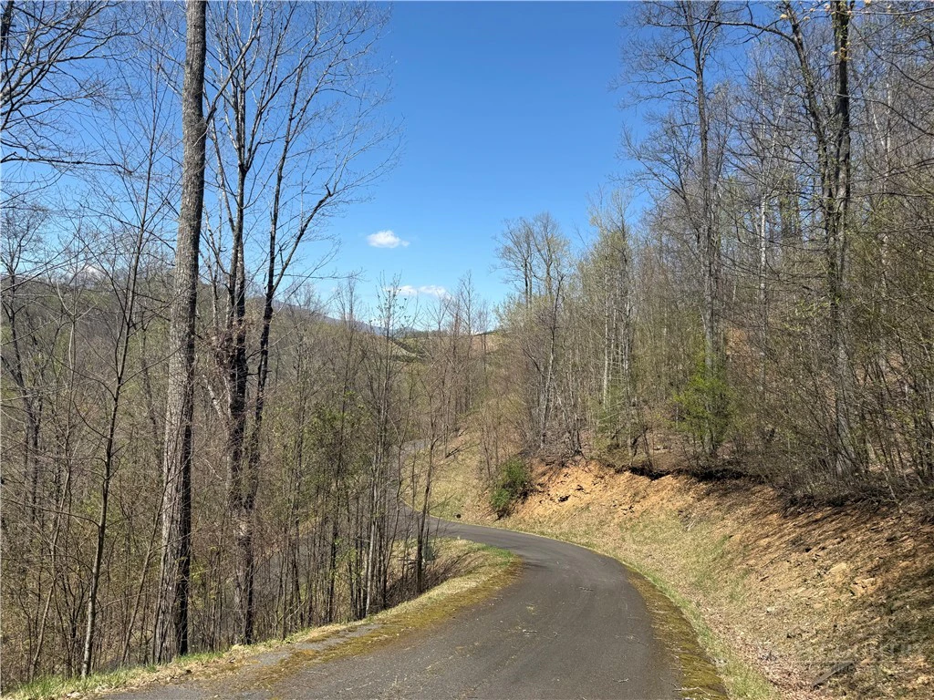 Image number 16 for the current listing