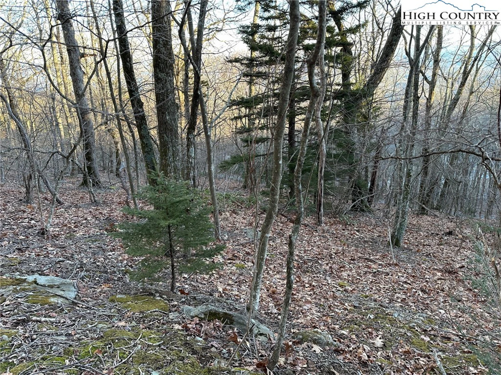 Image number 4 for the current listing