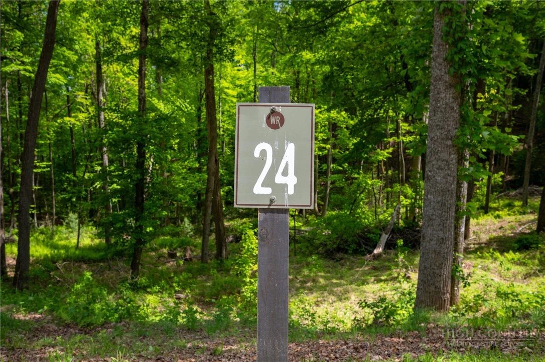 Image number 1 for the current listing