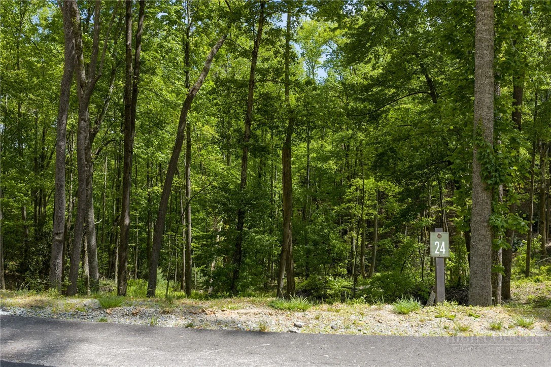 Image number 19 for the current listing