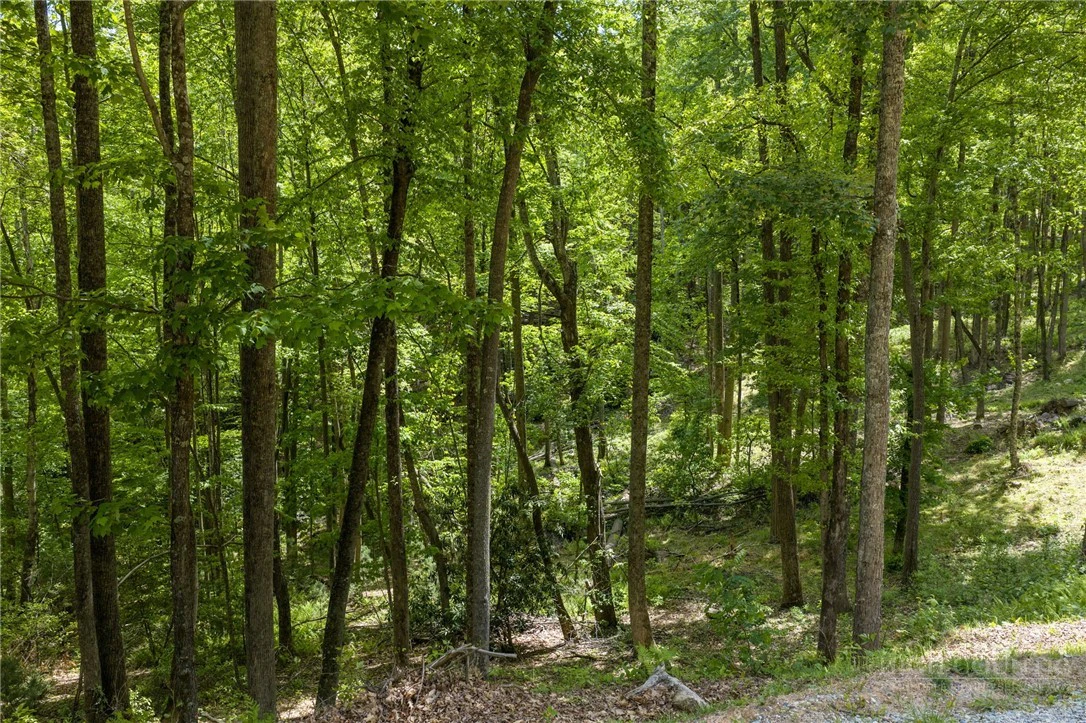 Image number 12 for the current listing