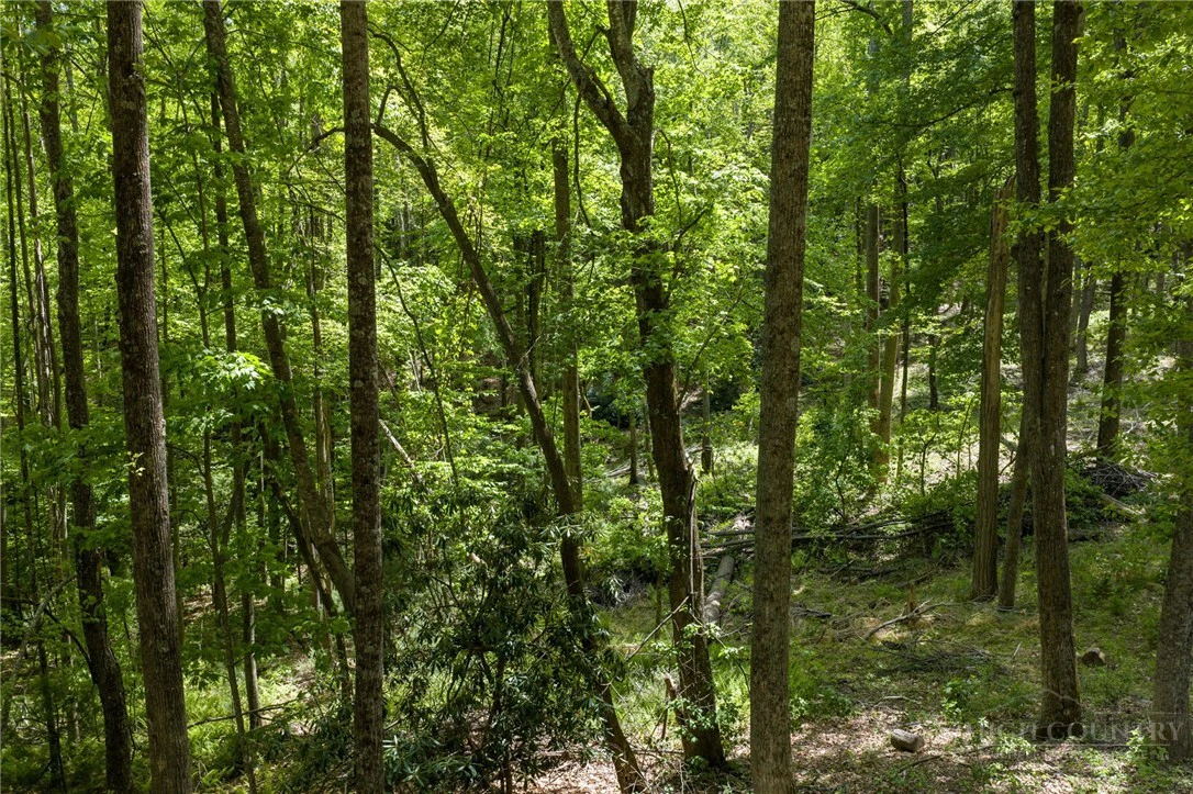 Image number 10 for the current listing