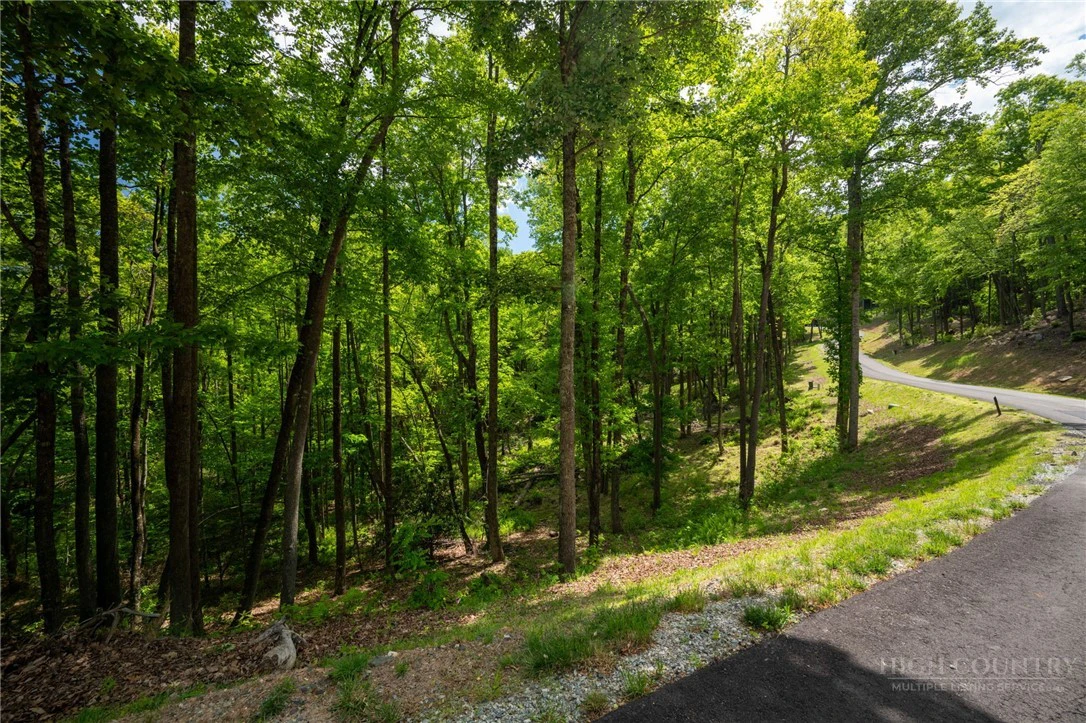 Image number 11 for the current listing