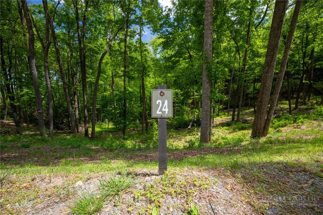 Image number 9 for the current listing