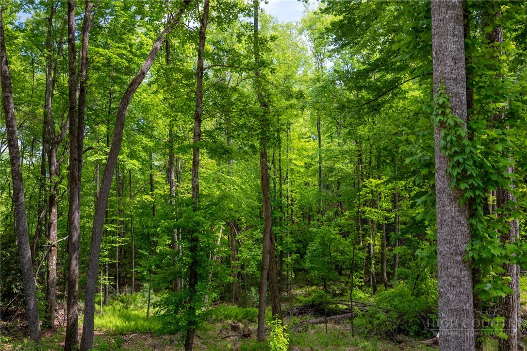 Image number 5 for the current listing