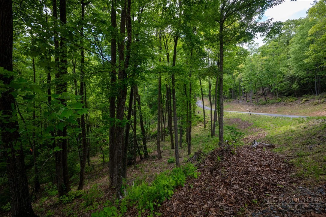 Image number 4 for the current listing