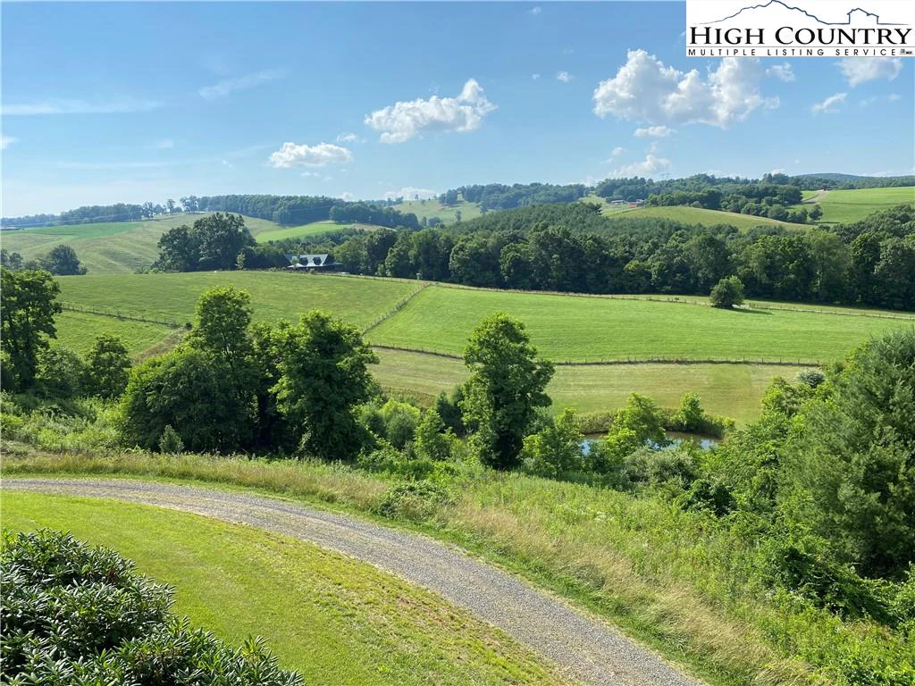 Image number 7 for the current listing