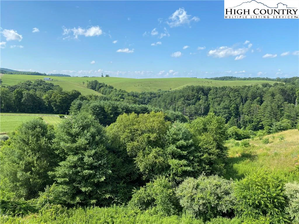 Image number 6 for the current listing