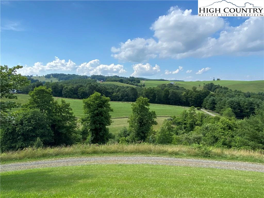 Image number 4 for the current listing