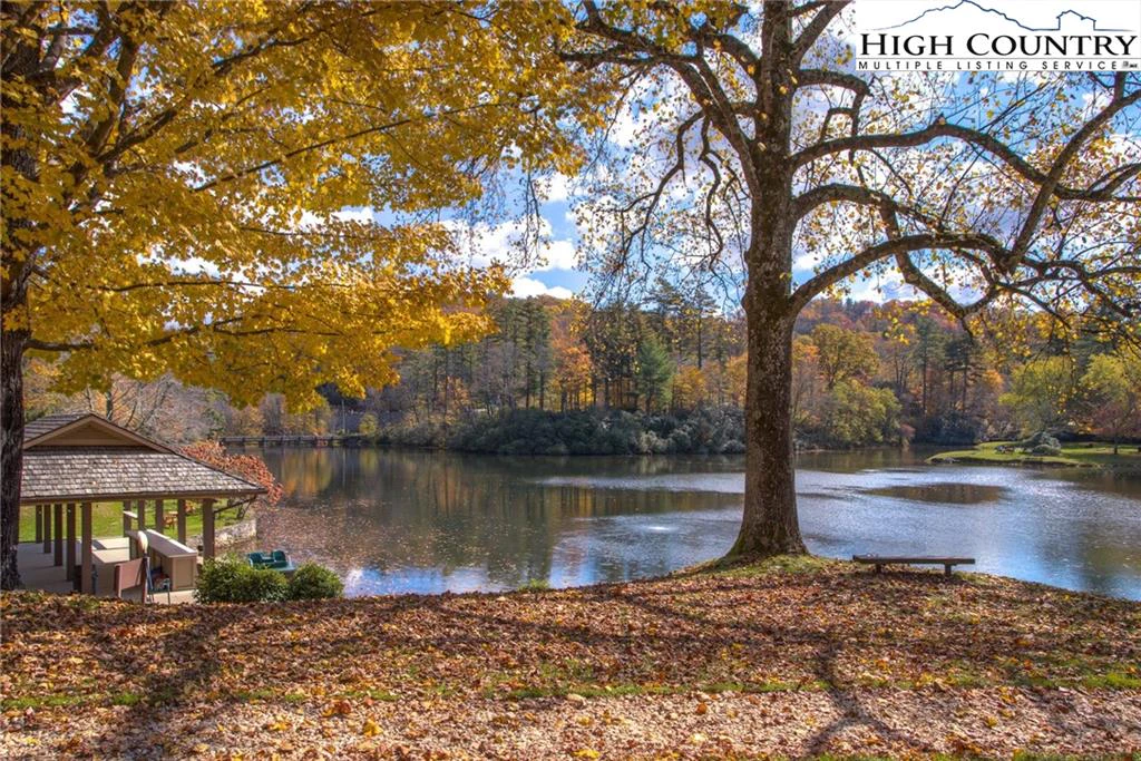 Image number 9 for the current listing