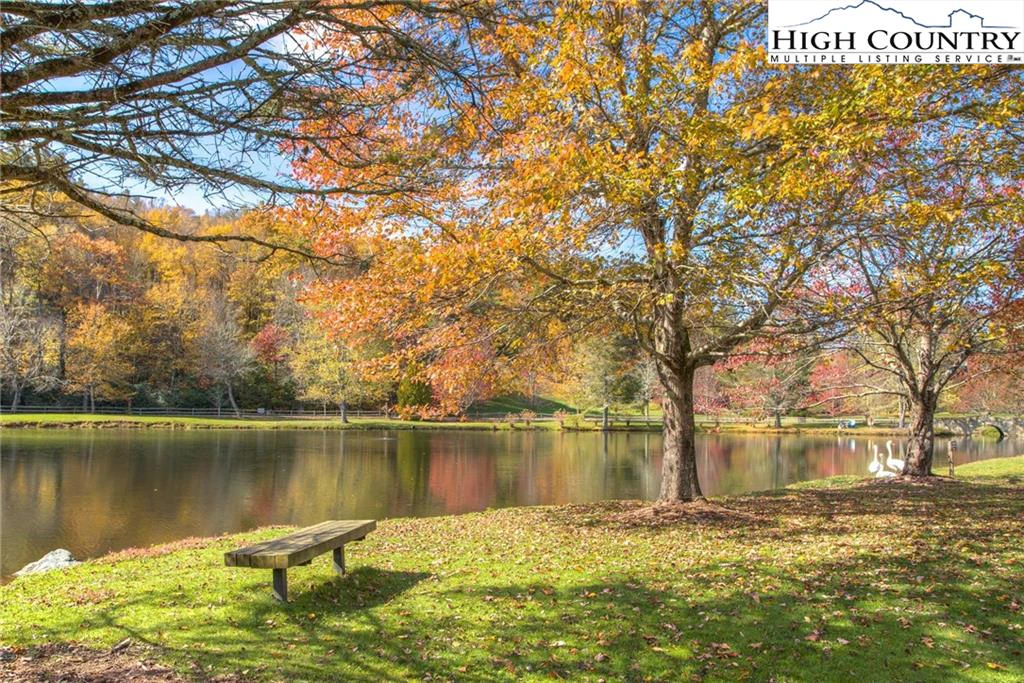 Image number 5 for the current listing