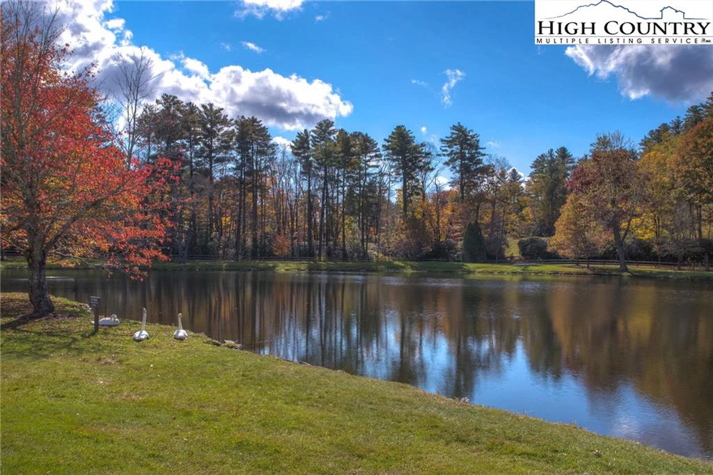 Image number 4 for the current listing