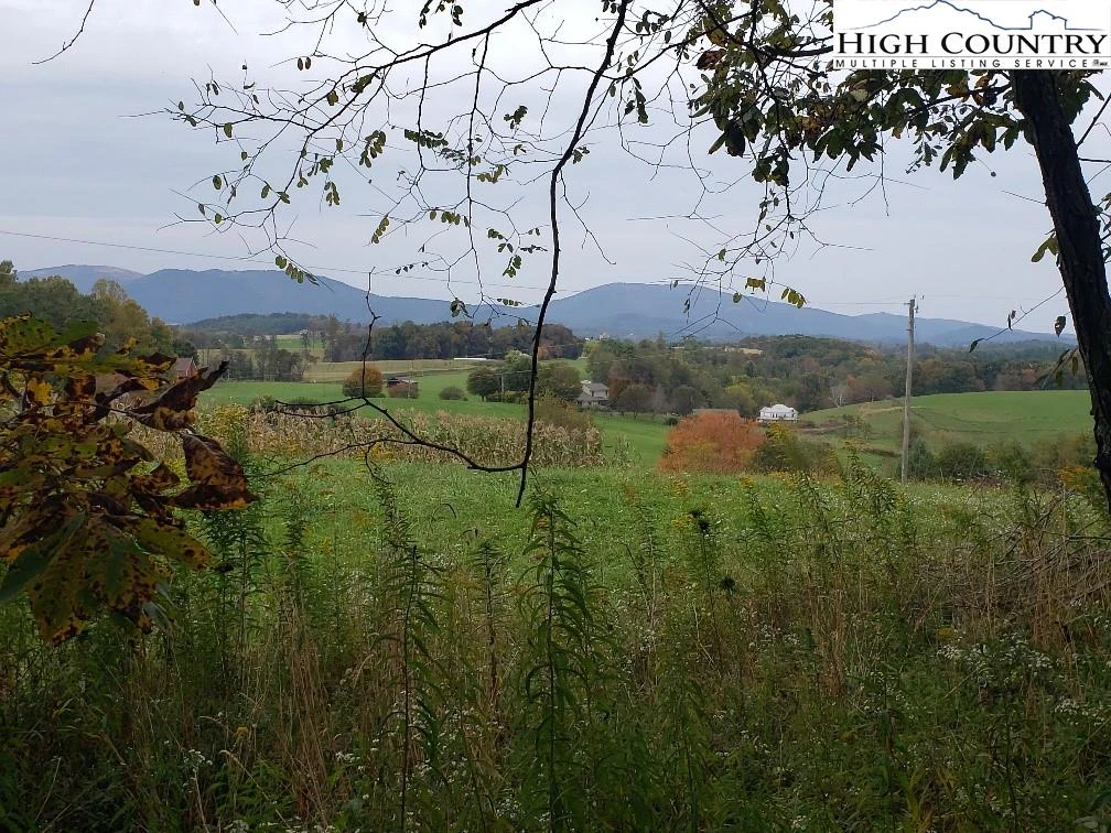 Image number 2 for the current listing