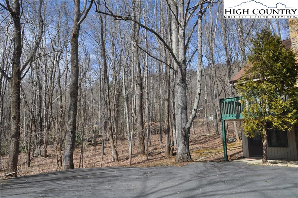 Image number 4 for the current listing
