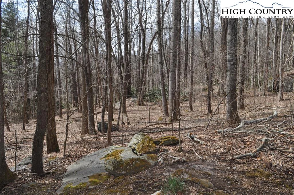 Image number 3 for the current listing