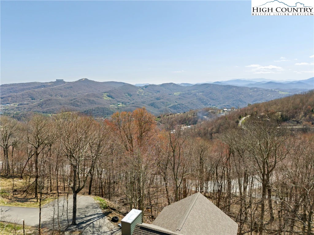 Image number 1 for the current listing