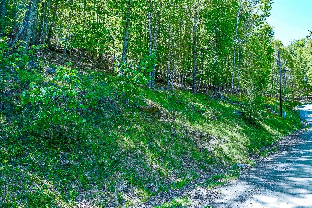 Image number 1 for the current listing