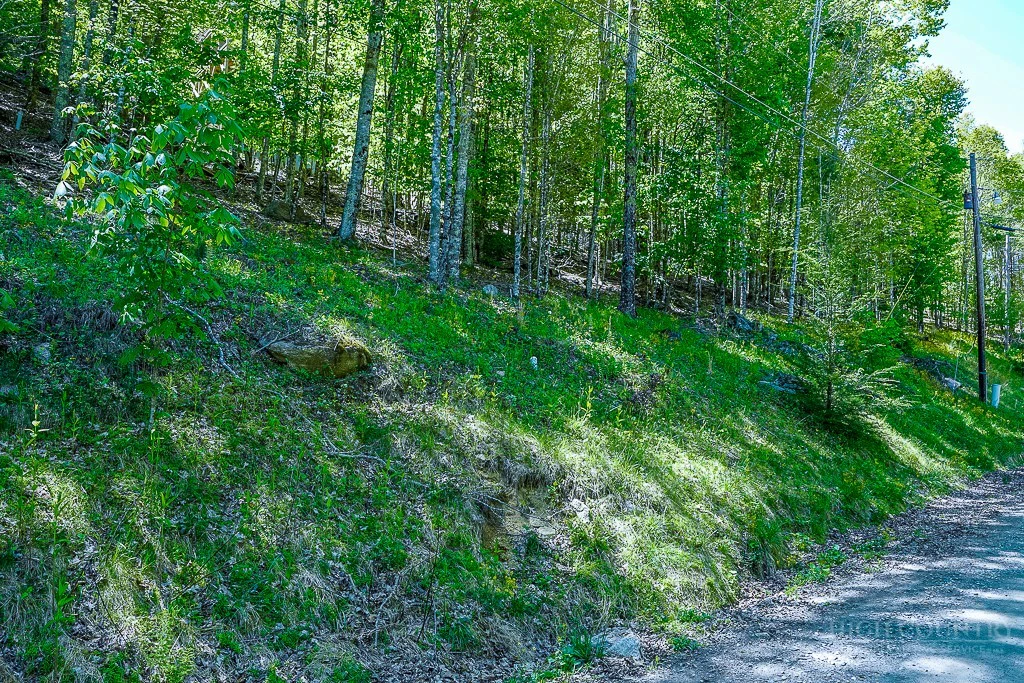 Image number 2 for the current listing