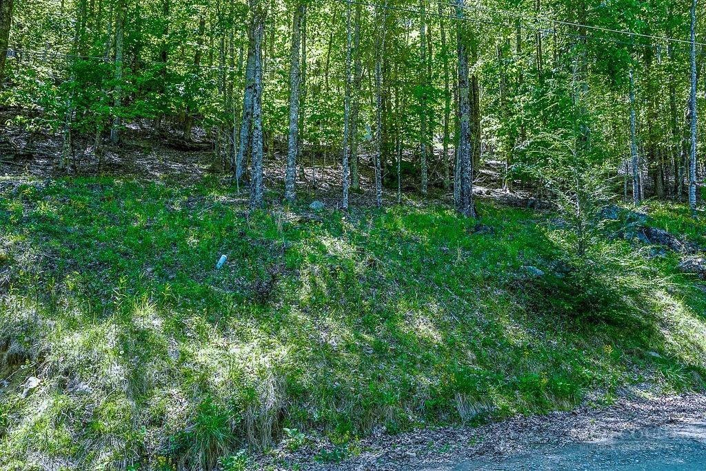 Image number 3 for the current listing
