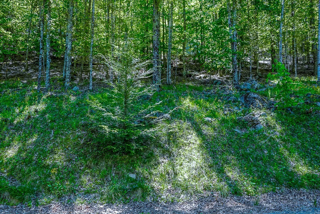 Image number 4 for the current listing