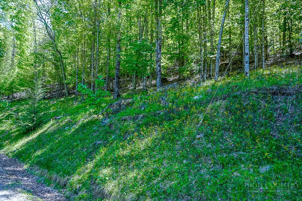 Image number 5 for the current listing