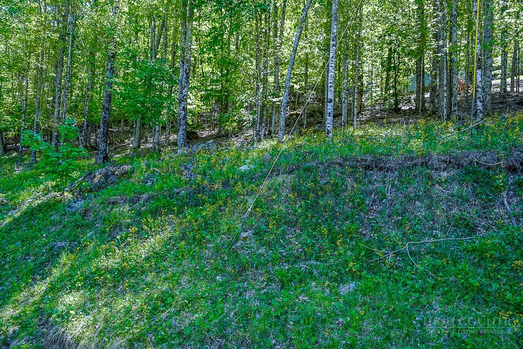 Image number 7 for the current listing