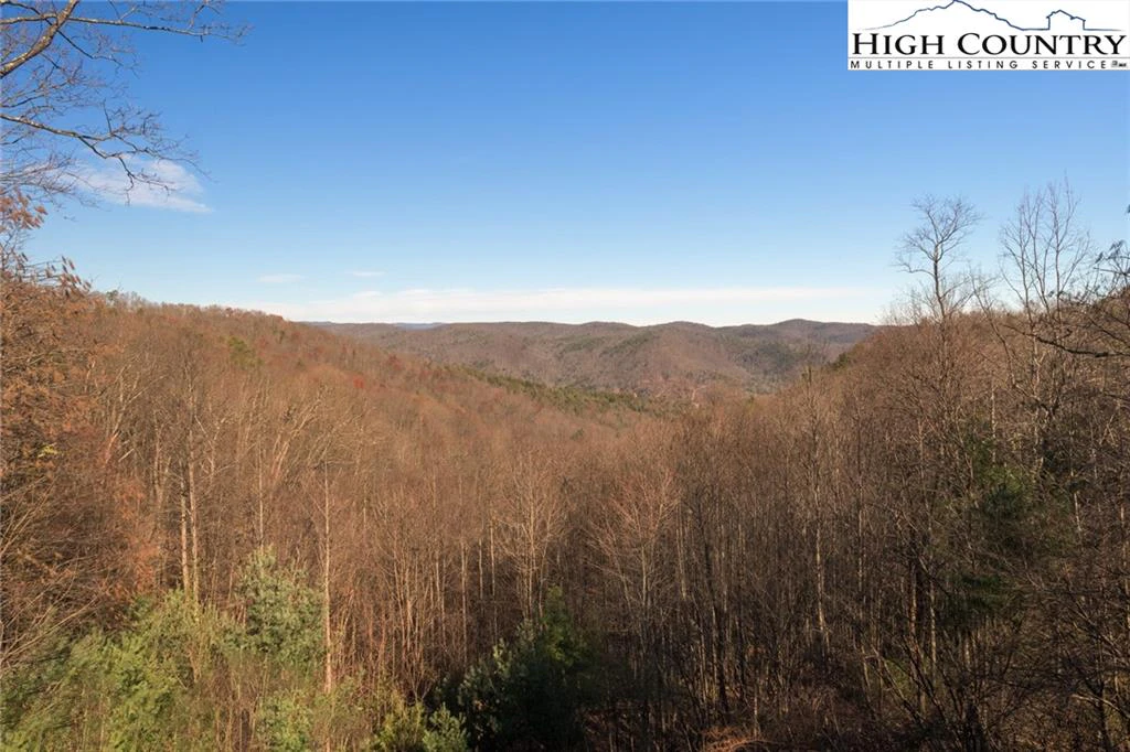 Image number 5 for the current listing