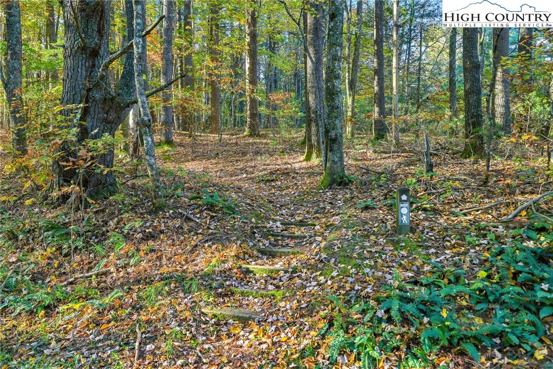 Image number 21 for the current listing