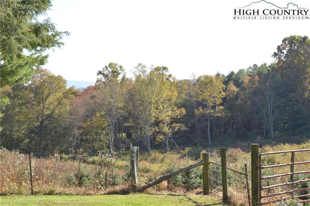 Image number 12 for the current listing