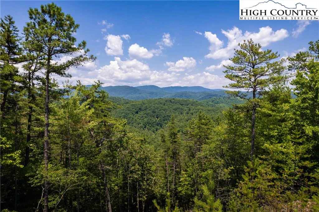 Image number 1 for the current listing